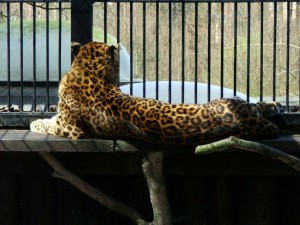 img00011