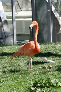 img00024