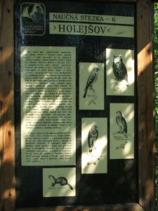 img00006