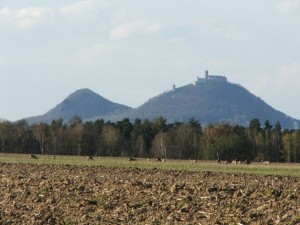 img00004