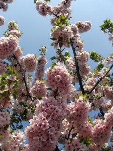 img00001