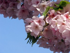 img00002
