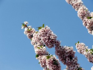 img00005